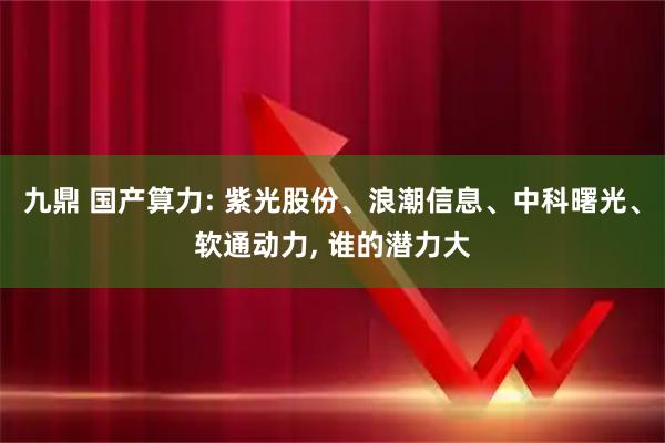 九鼎 国产算力: 紫光股份、浪潮信息、中科曙光、软通动力, 谁的潜力大