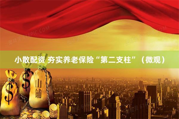 小散配资 夯实养老保险“第二支柱”（微观）