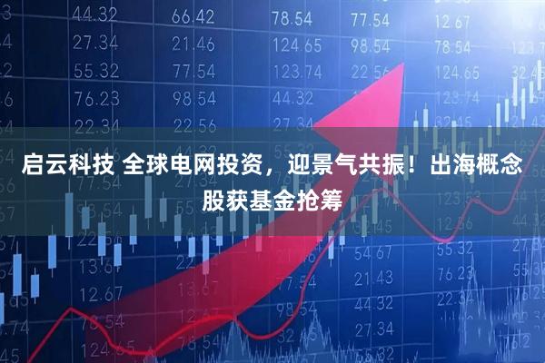 启云科技 全球电网投资，迎景气共振！出海概念股获基金抢筹