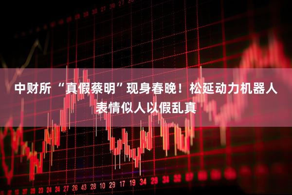 中财所 “真假蔡明”现身春晚！松延动力机器人表情似人以假乱真