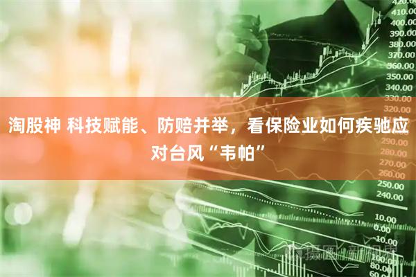 淘股神 科技赋能、防赔并举，看保险业如何疾驰应对台风“韦帕”